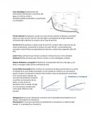 Resumen Hidrologia