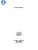 Investigación Grupo Bolívar