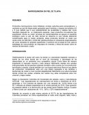 MARROQUINERIA EN PIEL DE TILAPIA