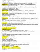 La palabra de dios es viva