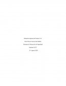 Sistemas de Protección de Seguridad