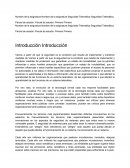 Seguridad Telemática