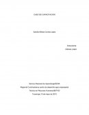 CASO DE CAPACITACIÓN