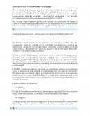 CASOS PRACTICOS RIESGOS LABORALES