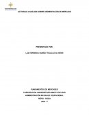 Actividad Análisis sobre segmentación de mercado