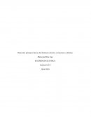Relacionar principios básicos del fenómeno eléctrico a situaciones cotidianas