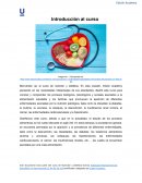 Nutricion y dietética