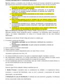 DISTRIBUCIÓN O "CONCESIÓN" MERCANTIL