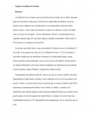 Negocios Rentables de Ecuador