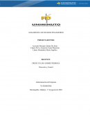 Analisis de los estados financieros Mercado y Bolsa S.A,