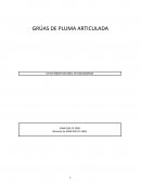 GRÚAS DE PLUMA ARTICULADA