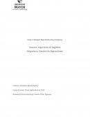 Caso 1 Shipper Manufacturing Company