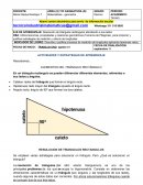 TRABAJO UNO DÈCIMO GRADO Matemáticas - geometría