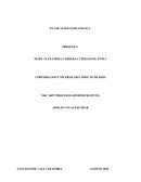 ENSAYO PLANEACION ESTRATEGICA