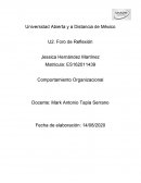 Explicacion organizacional