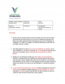 Habilidades verbales