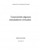 Conociendo algunos simuladores virtuales