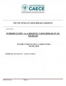 INTRODUCCIÓN A LA HIGIENE Y SEGURIDAD EN EL TRABAJO