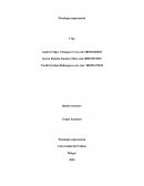 Psicología empresarial Cipa