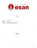 Filosofia. La prioridad entre los valores orientados al serivicio al cliente