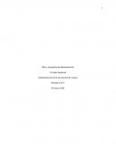 Administración de la prevención de riesgos