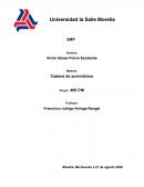 Sistemas de planificación de recursos empresariales