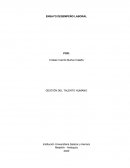 ENSAYO DESEMPEÑO LABORAL