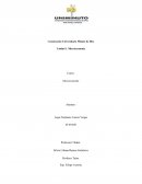 DICEN QUE CUANDO CHINA ESTORNUDA EL MUNDO SE REFRIA