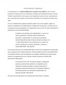 EVOLUCIÓN DE LA GERENCIA - ENSAYO