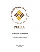 Canasta básica México