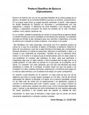 Postura filosófica de Epicuro (Epicureísmo)