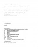 TEORIA Y PRAXIS DE LA INVESTIGACION CRIMINOLOGICA