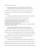 Teoría de las Organizaciones Sistema de Decisiones