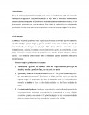 El maíz. Importancia económica, social y alimentaria