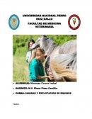 HEMO Coquito - hemograma