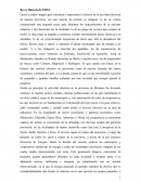 Breve Historia de EMSA