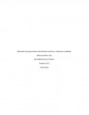 Relacionar principios básicos del fenómeno eléctrico a situaciones cotidianas