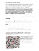 IMPACTO AMBIENTAL DE LA VIDA COTIDIANA