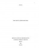 Proyectar el mercado de acuerdo de acuerdo con el tipo de producto o servicio