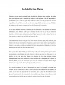 La Isla De Las Flores