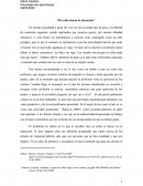 Mi crítica hacia la educación