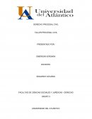 DERECHO PROCESAL CIVIL . TALLER PROCESAL CIVIL