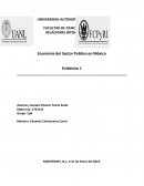 Economía del Sector Publico en México