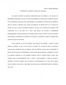 Comentario construcción masculina