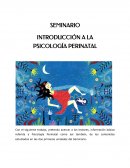 Introducción a la Psicología Perinatal
