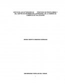 APOYO EN LAS ACTIVIDADES ADMINISTRATIVAS DE PROCOLOMBIA Y DEL CENTRO DE INFORMACIÓN EMPRESARIAL DE LA CÁMARA DE COMERCIO DE VALLEDUPAR