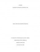 INFORME REDISEÑO DE PROCESO DE PRODUCCIÓN