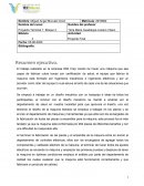 Proyecto terminal 1 empresa DMI Corp