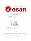 Plan relacional Vivanda S.A.