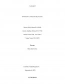 Formulación y evaluación de proyectos